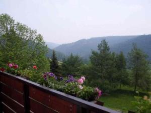 Gasthof Gasthaus&pension Zum Hirsch Gehlberg